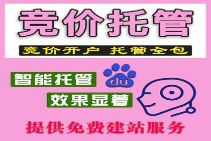 某行业SEM托管公司操作实例：提升广告ROI的秘诀